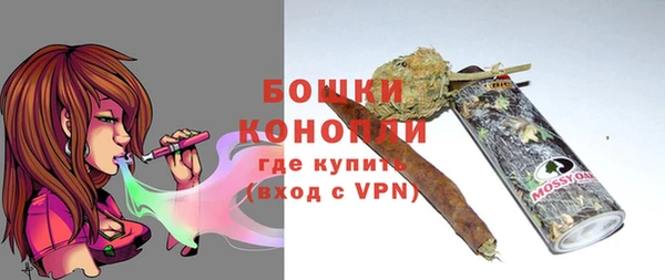 сатива Балахна
