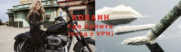 трава Белокуриха