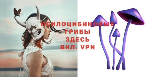 сатива Балахна